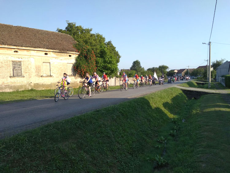 Vrba 2019 14