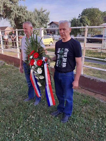 Vrba polaganje